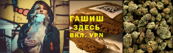 тгк Алзамай