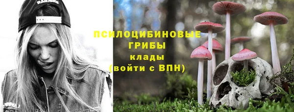 тгк Алзамай