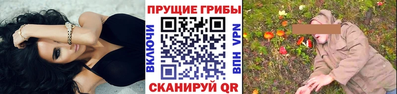 Псилоцибиновые грибы Cubensis продажа наркотиков Шумерля