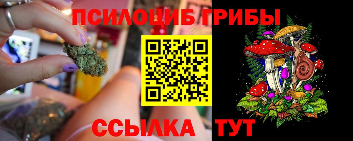 Псилоцибиновые грибы прущие грибы Шумерля