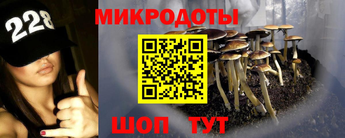 Галлюциногенные грибы Cubensis  Вход с VPN  Шумерля 